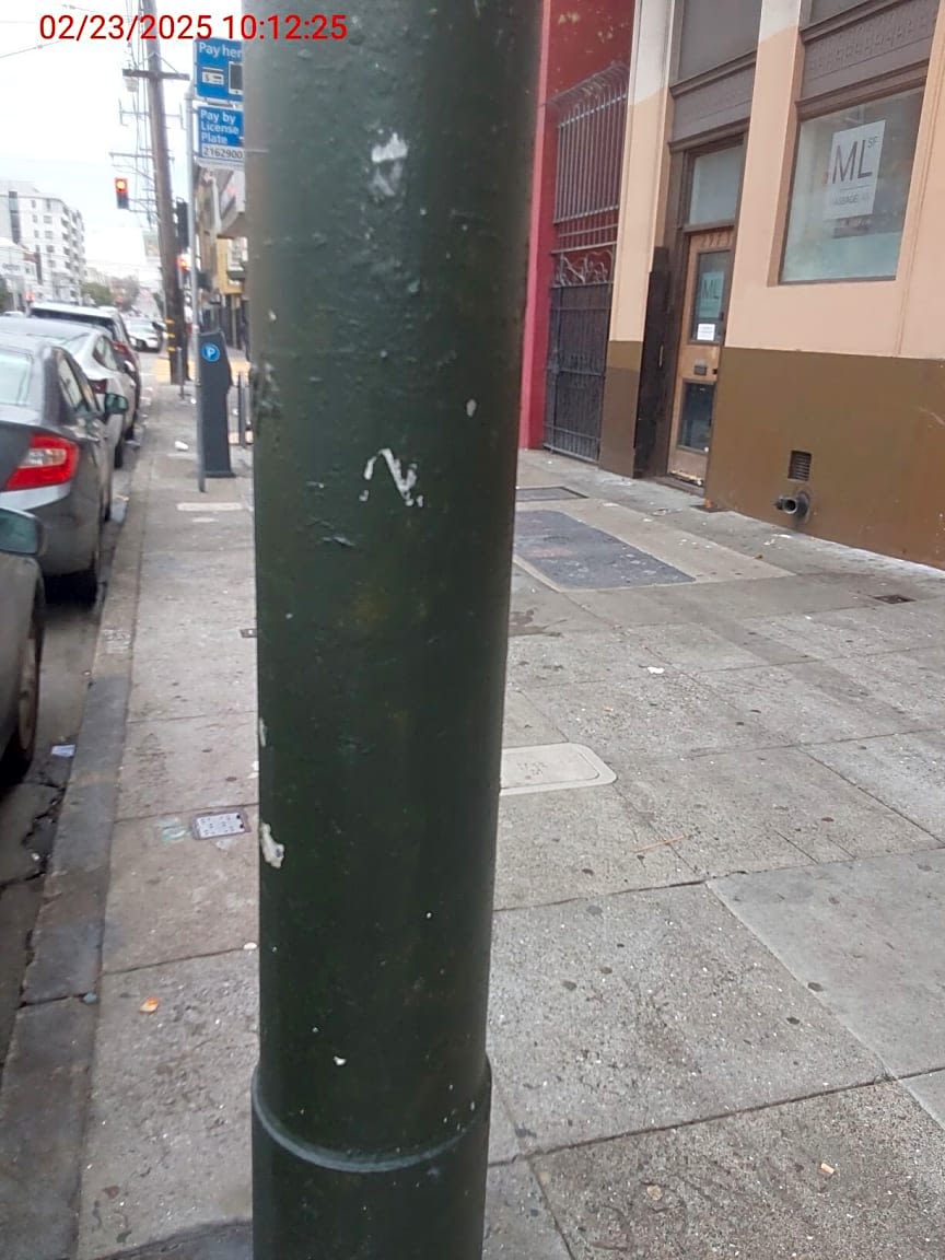 Image submitted with report