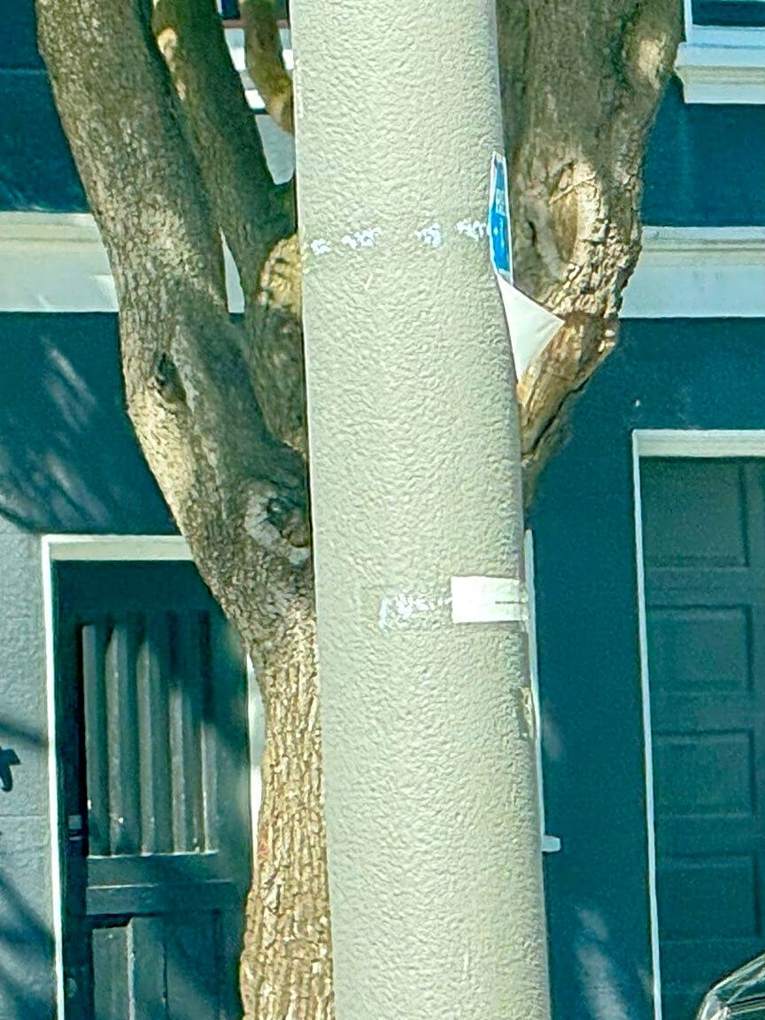 Image submitted with report