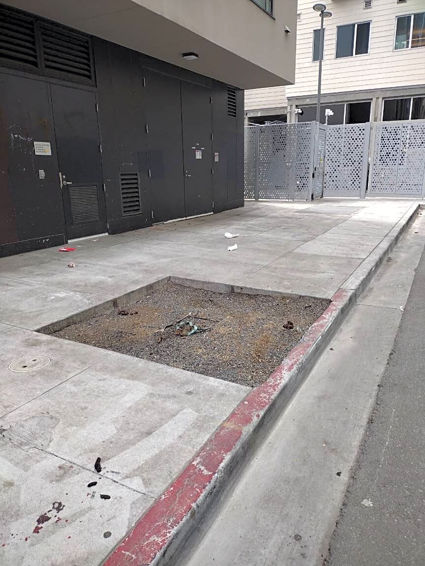 Image submitted with report