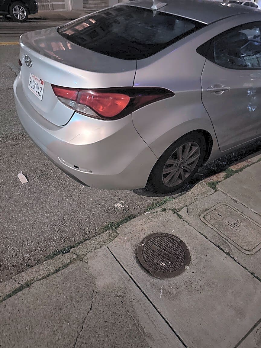 Image submitted with report