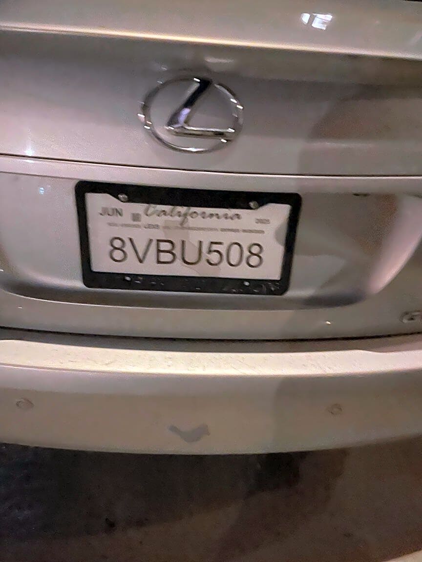 Image submitted with report