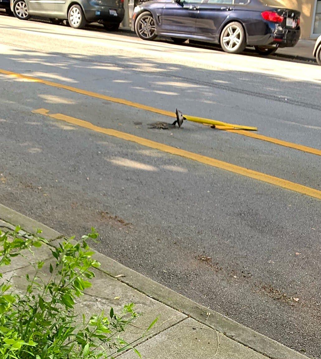 Image submitted with report