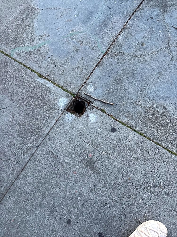 Image submitted with report
