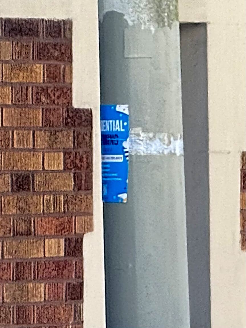 Image submitted with report