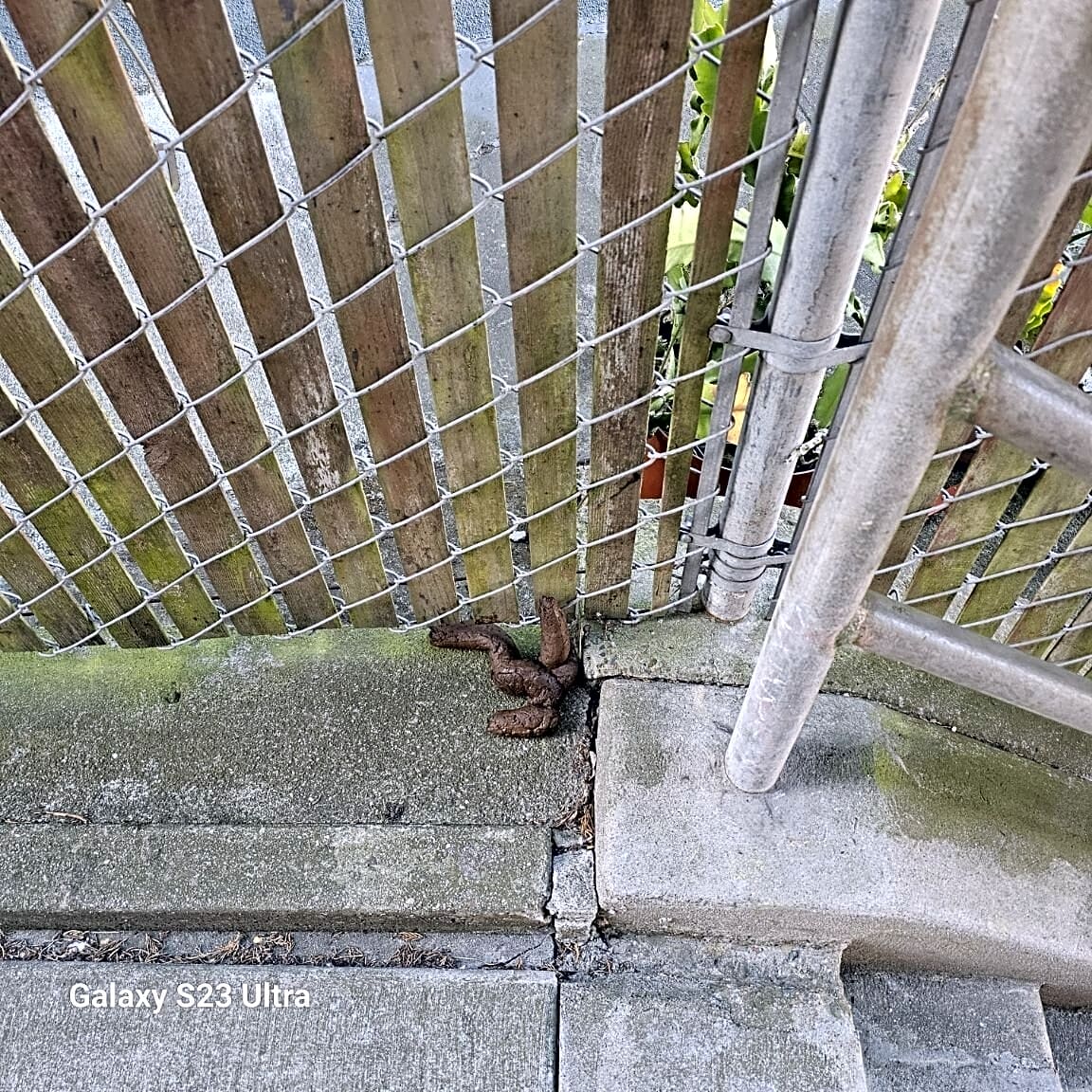Photo attached to case 202000185960