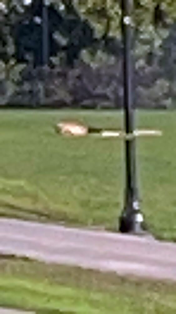Photo attached to case 202000185985