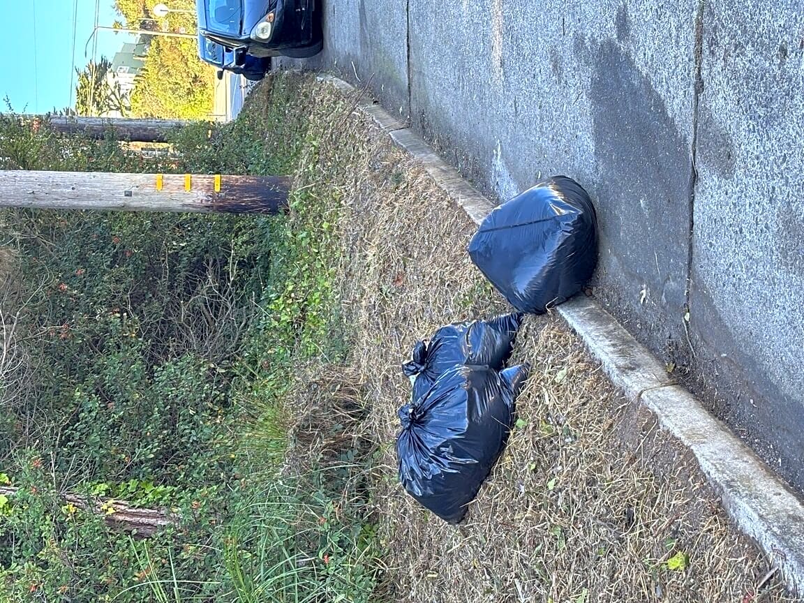 Photo attached to case 202000186465