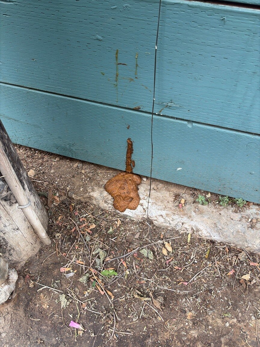 Photo attached to case 202000207752
