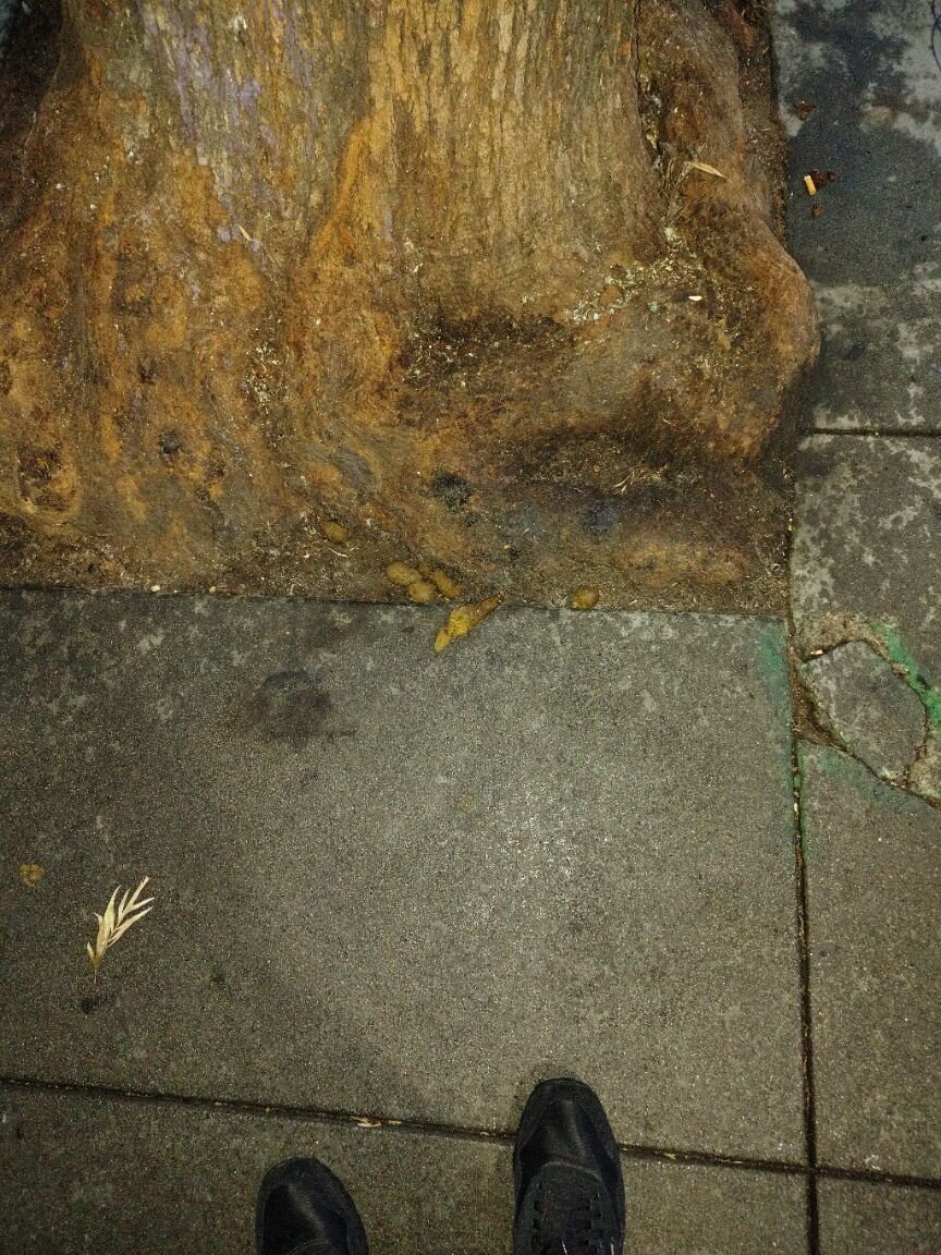 Photo attached to case 202000209757