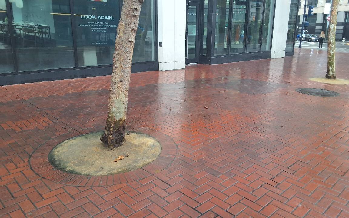 Photo attached to case 202000210017
