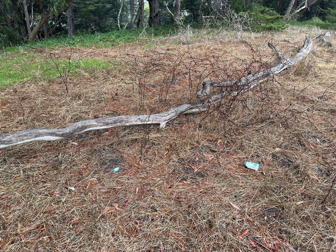 Photo attached to case 202000210254