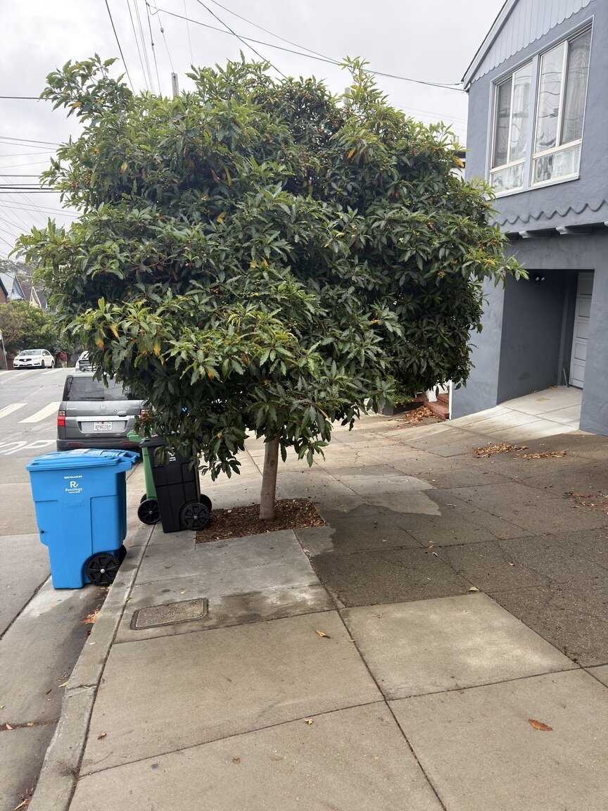 Photo attached to case 202000210463