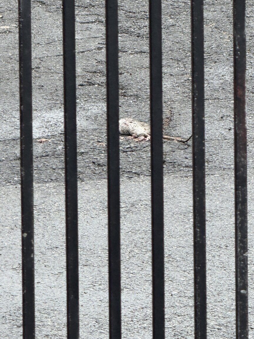 Photo attached to case 202000210580