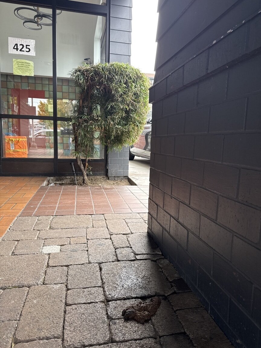 Photo attached to case 202000211236