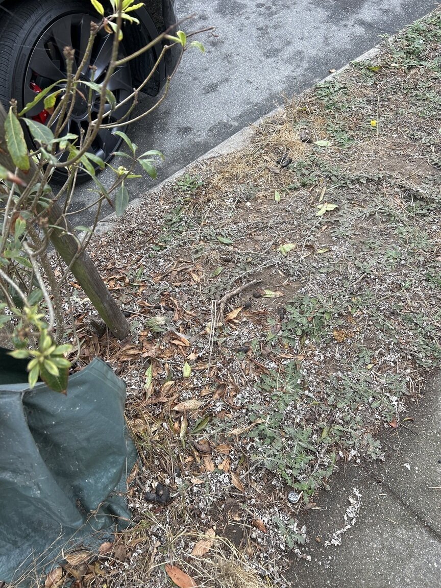 Photo attached to case 202000211456