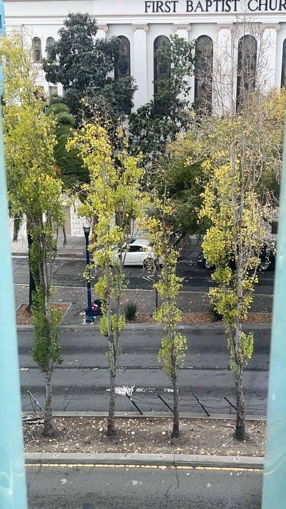 Photo attached to case 202000211837