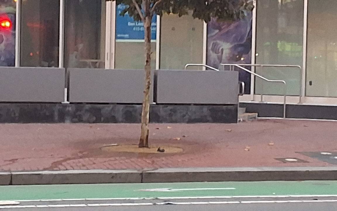Photo attached to case 202000213241