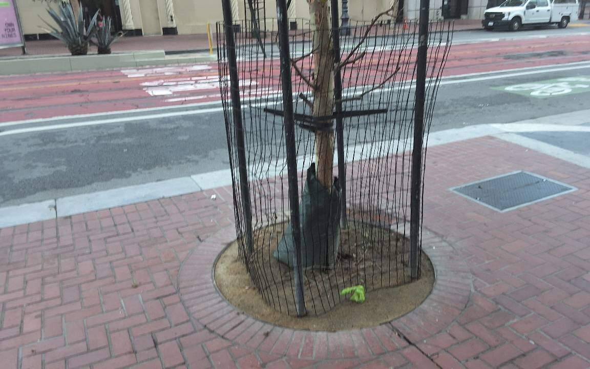 Photo attached to case 202000213342