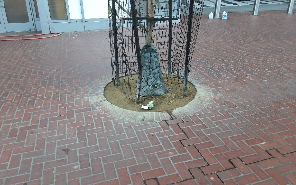 Photo attached to case 202000213357