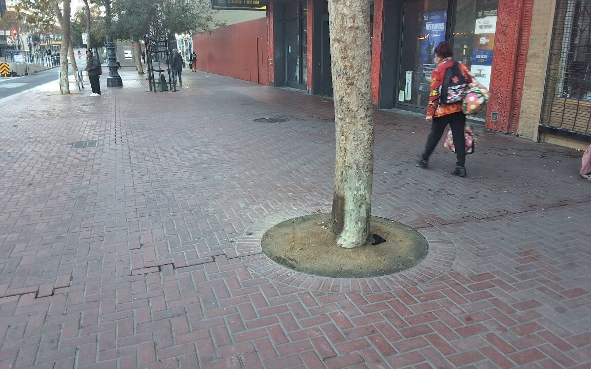 Photo attached to case 202000213386