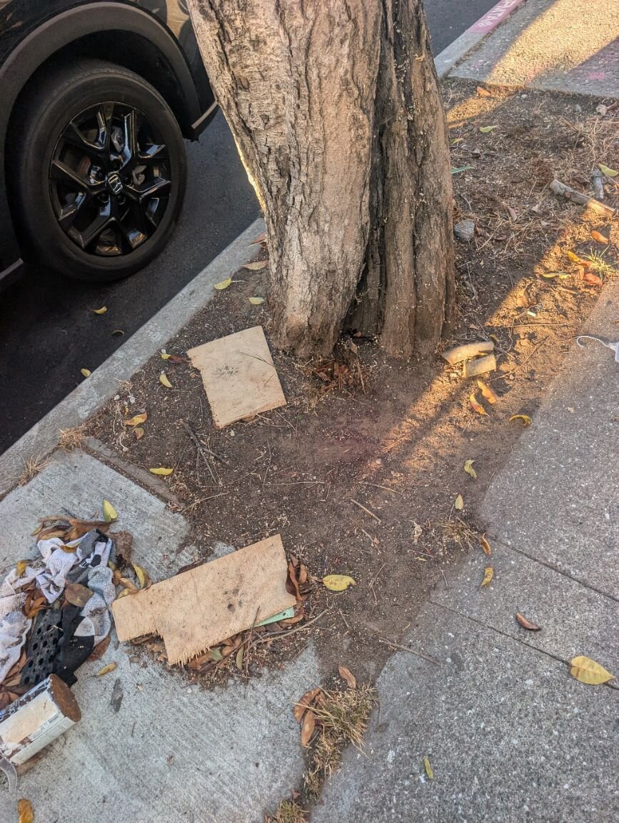 Photo attached to case 202000213581
