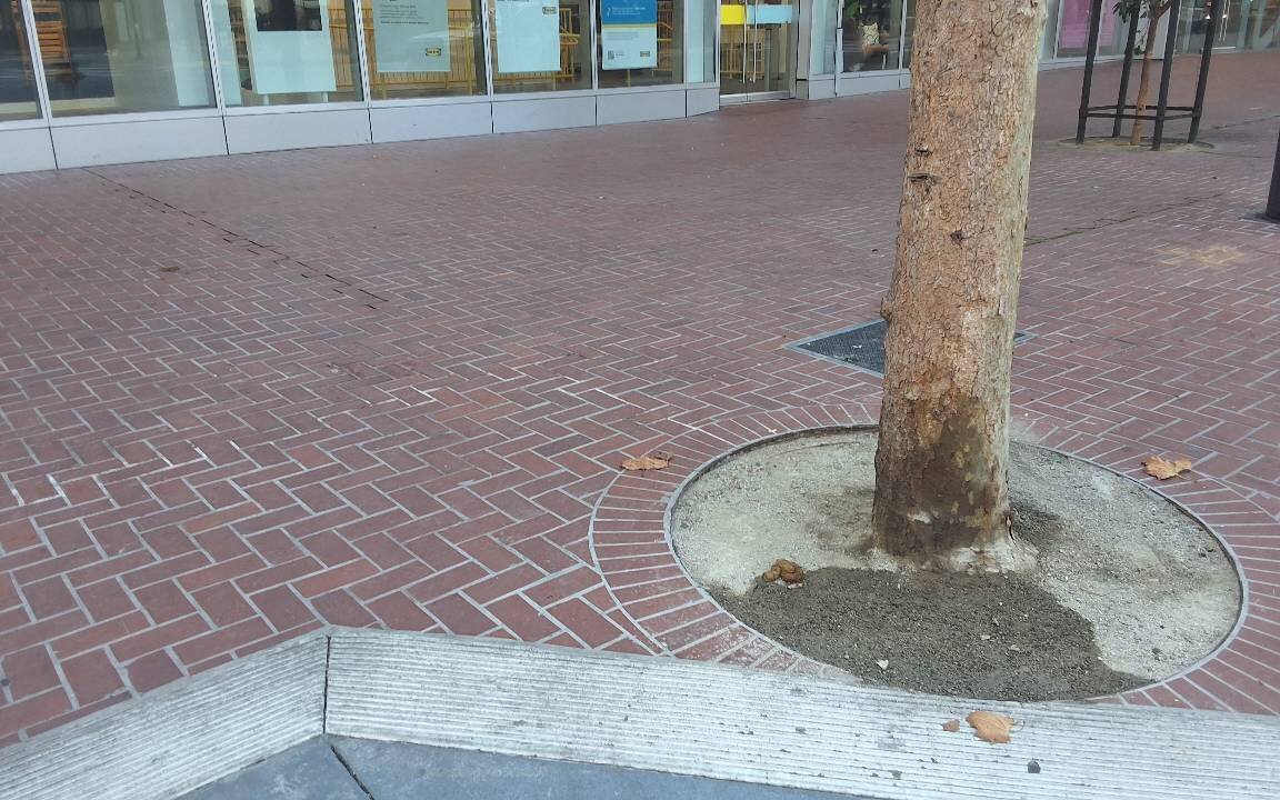 Photo attached to case 202000213633
