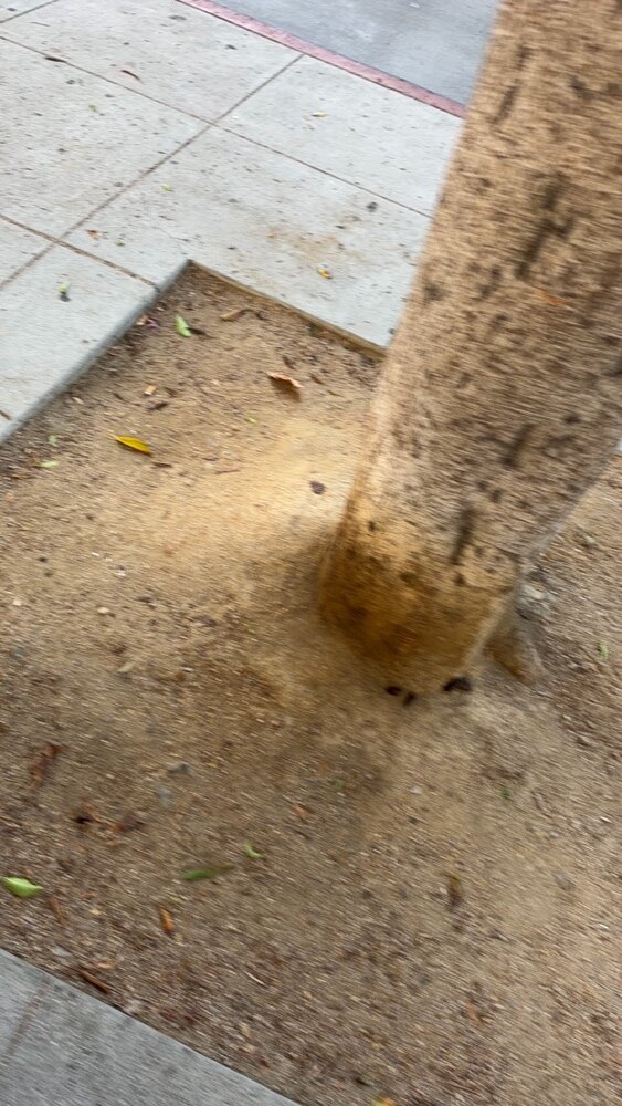 Photo attached to case 202000213671