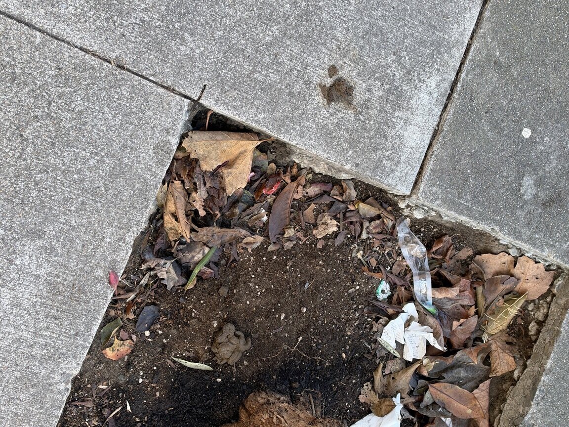 Photo attached to case 202000214223