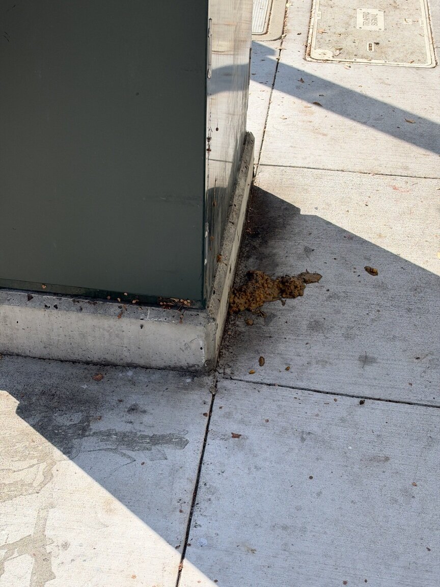 Photo attached to case 202000214770