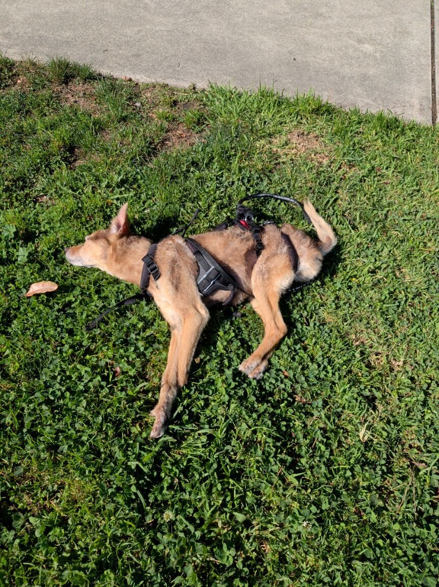 Photo attached to case 202000215010