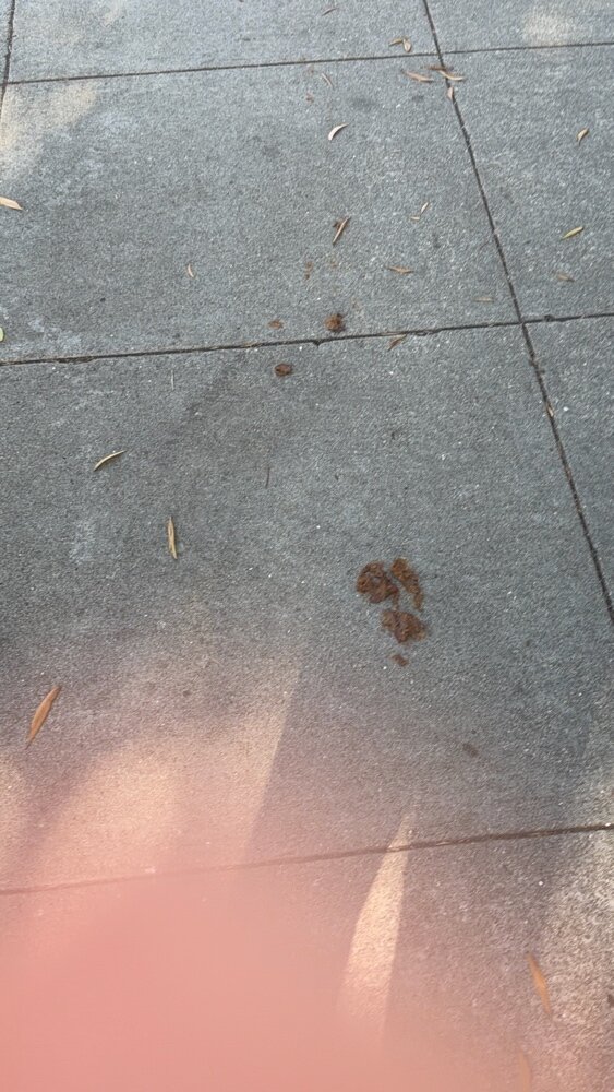 Photo attached to case 202000215216