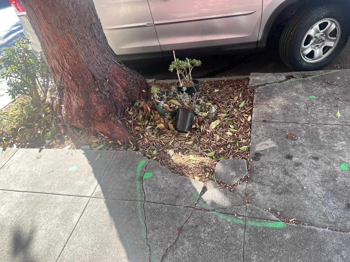 Photo attached to case 202000215564