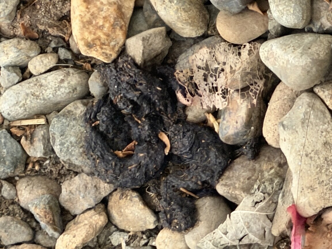Photo attached to case 202000217467