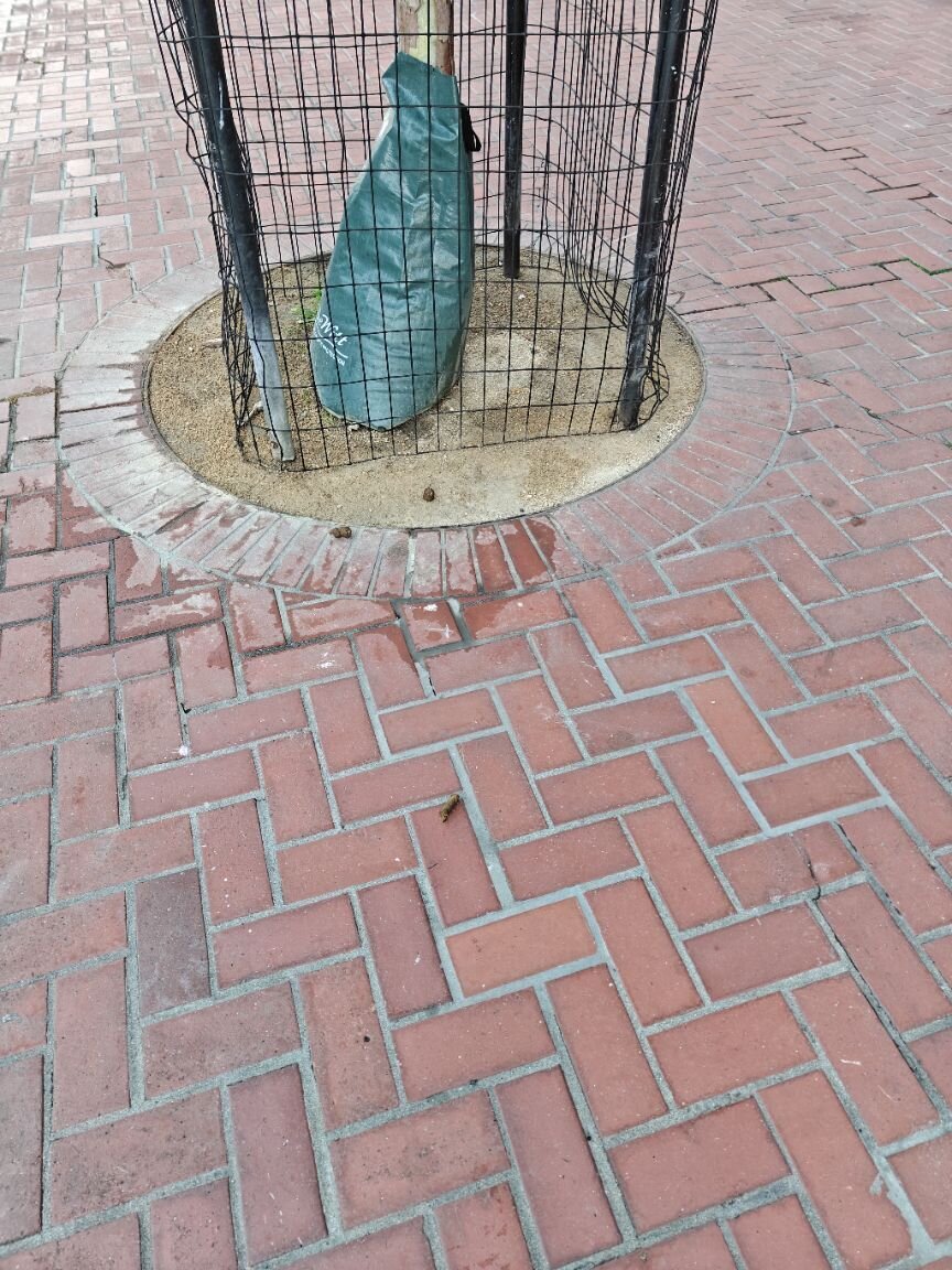 Photo attached to case 202000217516