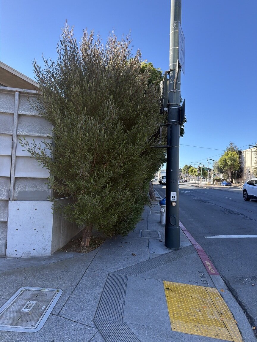 Photo attached to case 202000217936