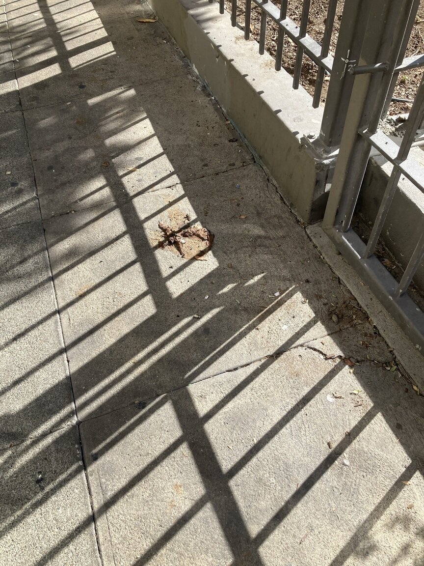 Photo attached to case 202000218263