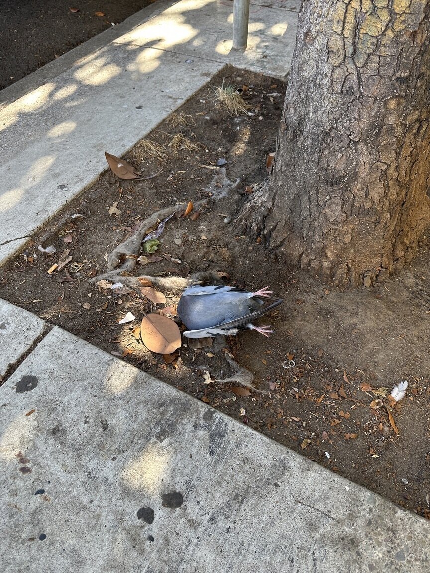 Photo attached to case 202000218469