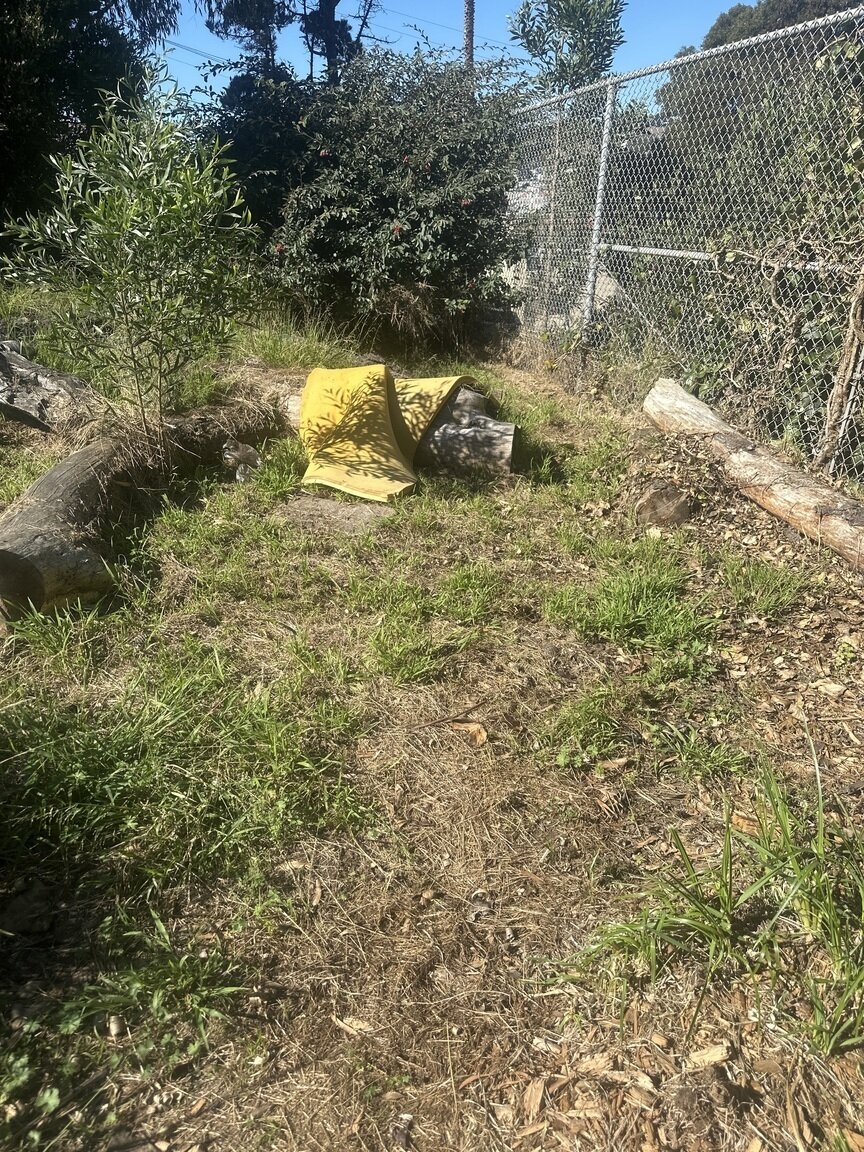 Photo attached to case 202000218656