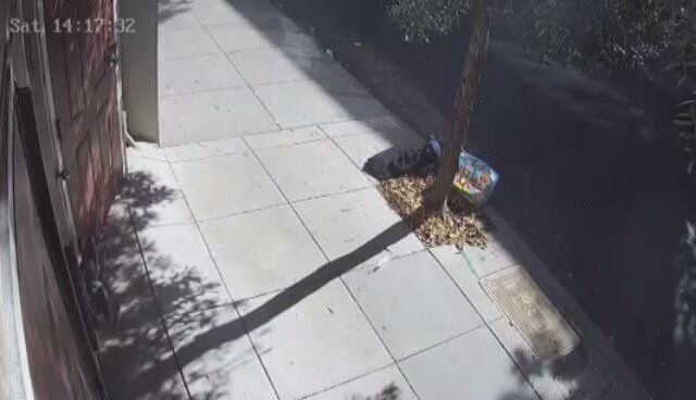Photo attached to case 202000218954