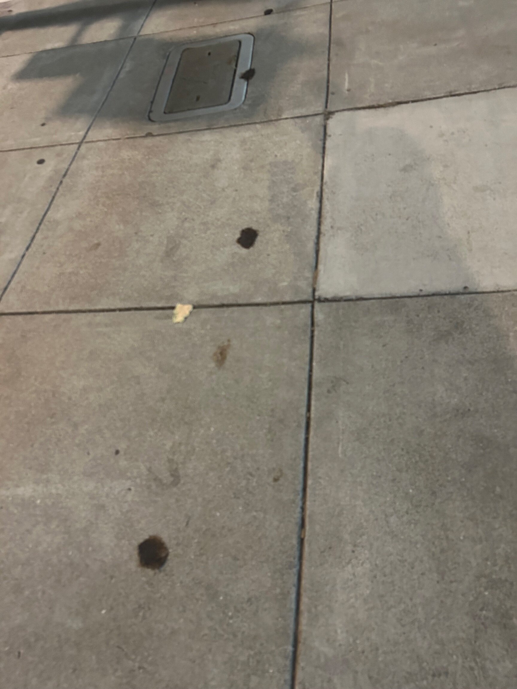 Photo attached to case 202000223780