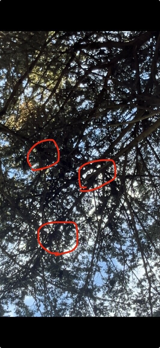 Photo attached to case 202000223816