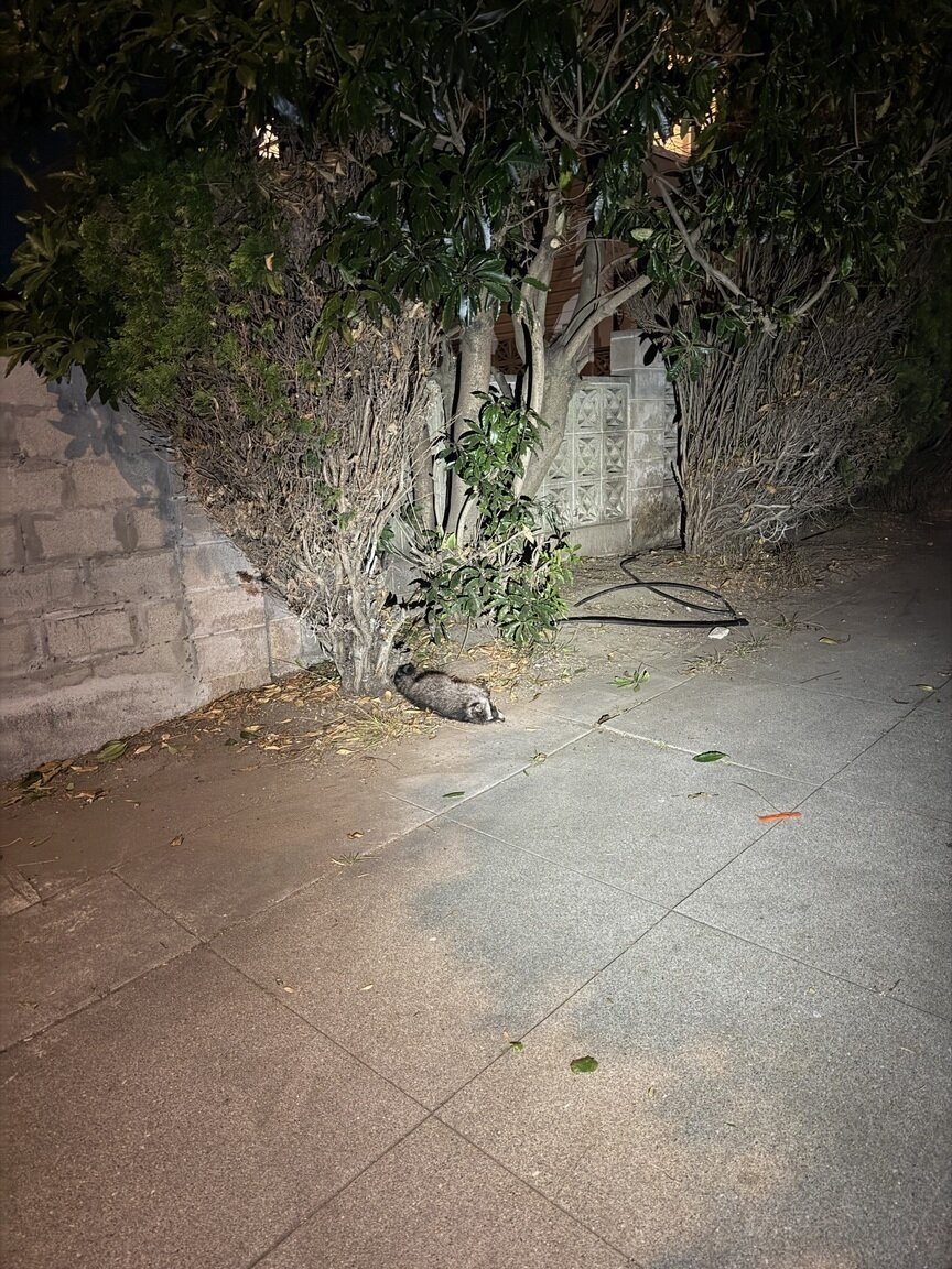 Photo attached to case 202000223946