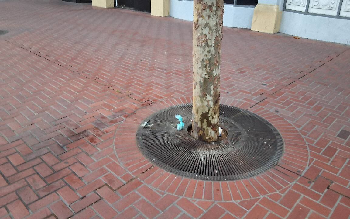 Photo attached to case 202000225176