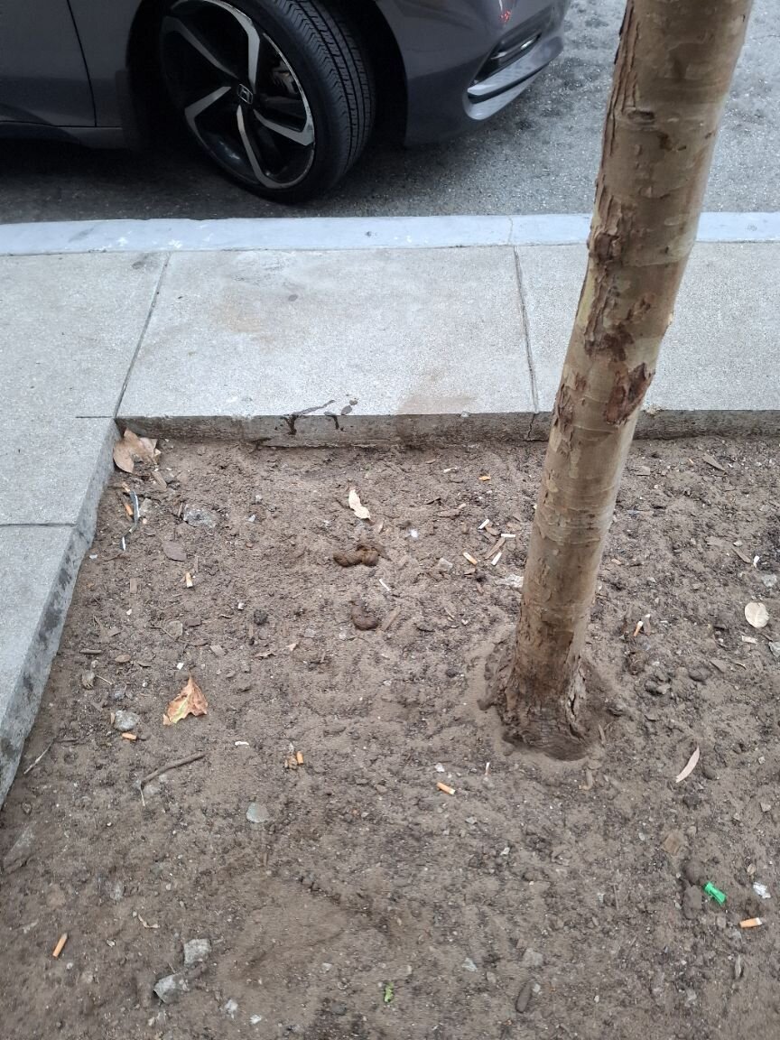 Photo attached to case 202000225364