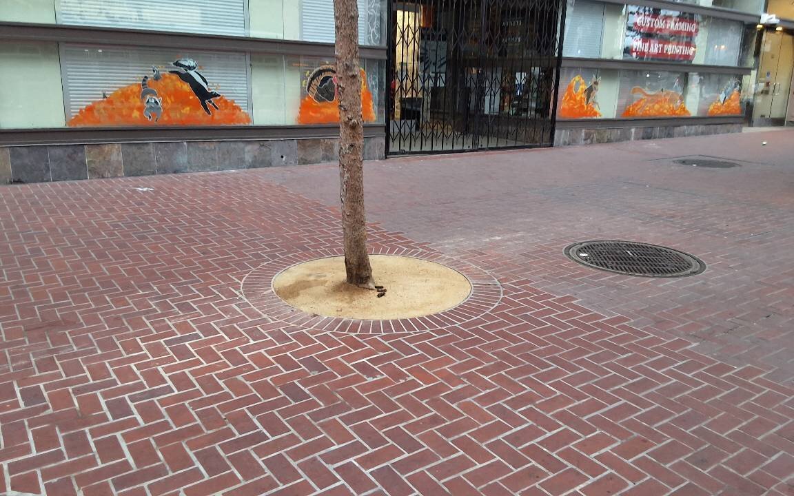 Photo attached to case 202000225371