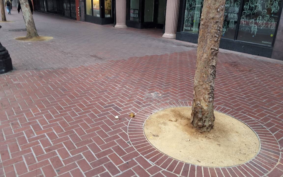 Photo attached to case 202000225394