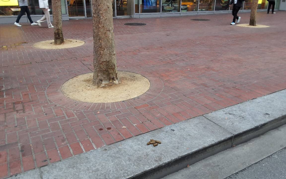 Photo attached to case 202000225430