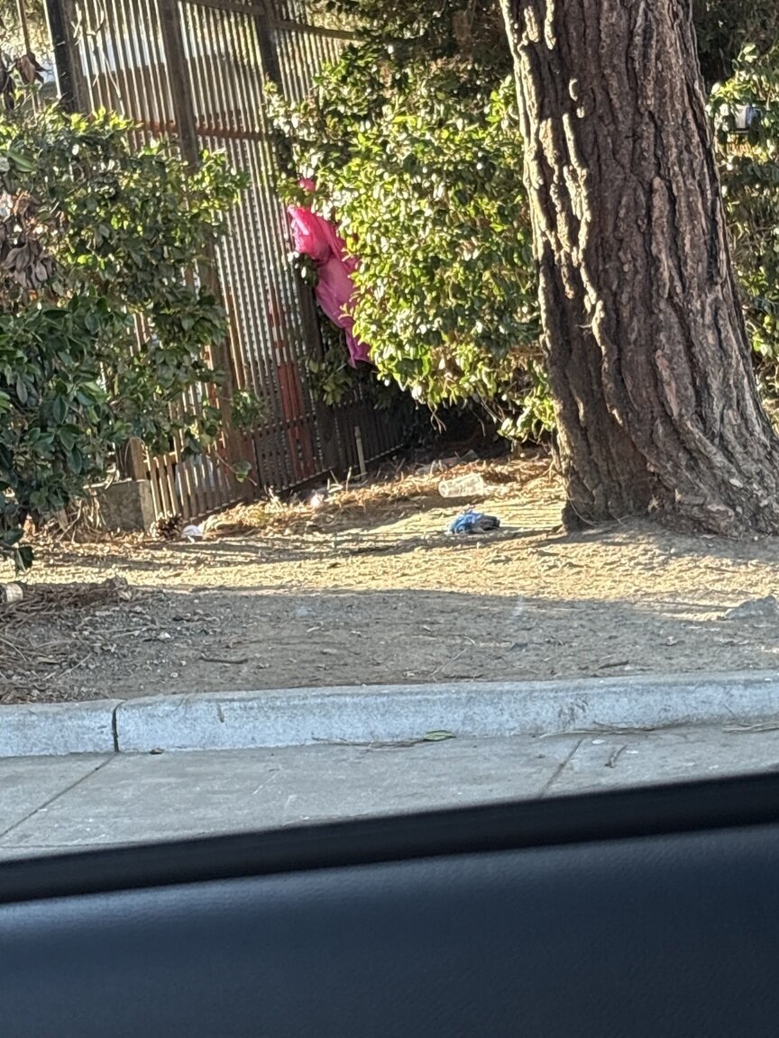 Photo attached to case 202000228055