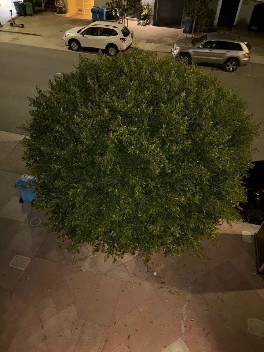 Photo attached to case 202000228868