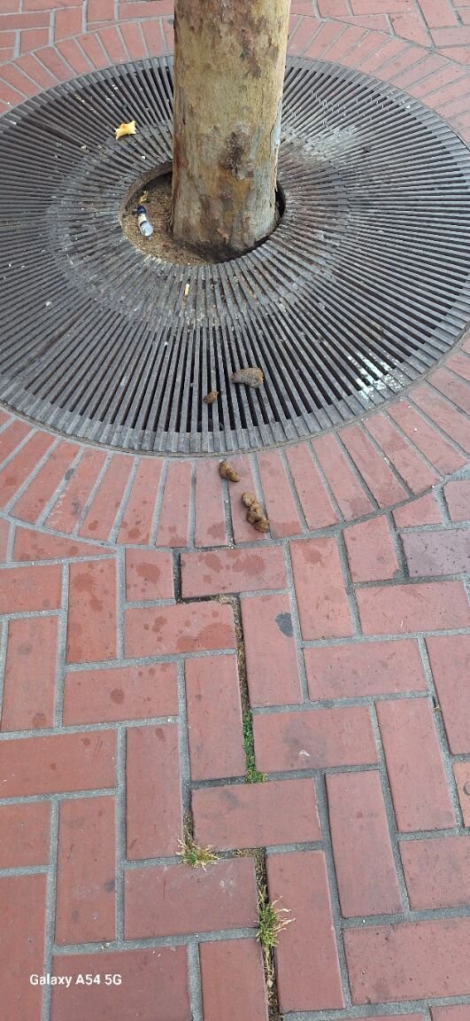 Photo attached to case 202000231521